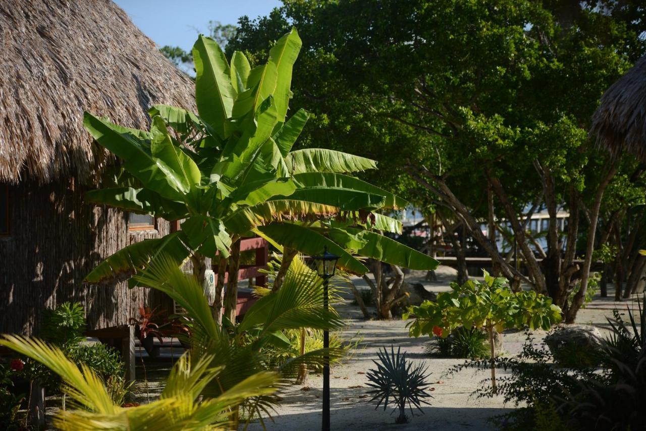 El Ben Cabanas Caye Caulker Εξωτερικό φωτογραφία
